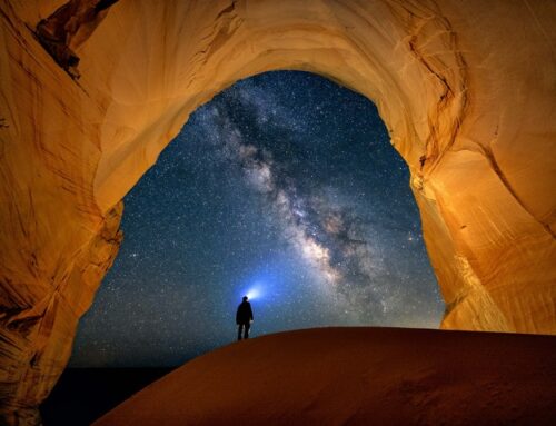 Openess – ache a saida.